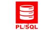 Oracle PL/SQL Programming