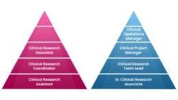 Trending positions in Clinical Research Field