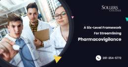 A six-level framework for streamlining pharmacovigilance