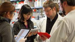 Aggregate Reporting in PV: What It Is and Why It’s a Must-Know for Global Pharma Careers